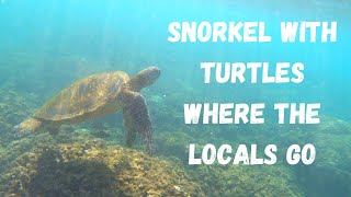 A PERFECT DAY IN MAUI | SNORKELING WITH TURTLES | NAKALELE BLOWHOLE | OLIVINE POOLS