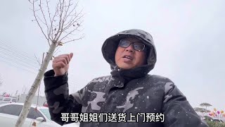 大磊去郑州批发水果回家卖，先预约再进货，挣个运费钱都中#张大磊