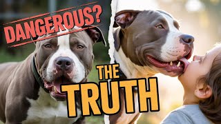 Dog Breed Prejudice:The Untold Truth About "Dangerous" Dogs!