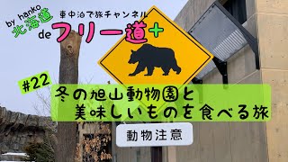 【車中泊de旅しよう♪】HONDA フリードプラス #22 冬の旭山動物園🦁