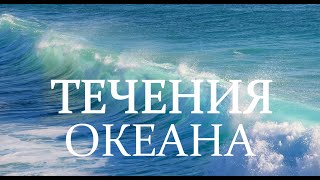 Течения мирового океана, океанов, почему морские течения возникают, как циркулирует влияют на климат