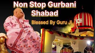 Non Stop Guru Ji Blessed Gurbani Shabad -2024 || Guru Ji Bhajan || @GuruJiMahara