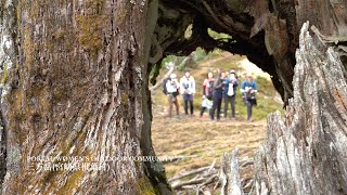 【宮崎県の登山】三方岳(宮崎県椎葉村) -PORTAL WOMEN'S OUTDOOR COMMUNITY-