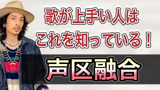 【ミックスボイス】高音で使うべき声の種類！各レジスターを解説！【高音の出し方】【ボイストレーニング】【ミドルボイス】【ボイトレ】