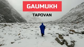 Winter Trek in Summer 2023 | Gaumukh Tapovan