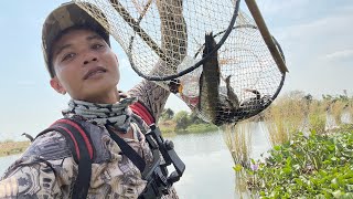 Phần 2: thăm luồng 30 cái lờ cá, đã không thể tả 😅#lờcá #fishing