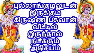 புல்லாங்குழலுடன் இருக்கும் கிருஷ்ண பகவான் வீட்டில் இருந்தால் நடக்கும் அதிசயம்  | Tamil