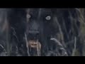 dogman 100% terrifying video evidence captured u0026 dogman encounters showing how dangerous they are