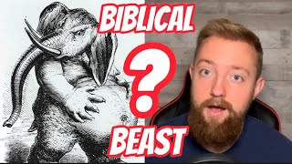 WHO/WHAT IS BEHEMOTH | will123will