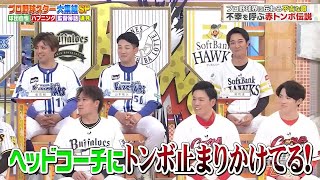 【ジャンクSPORTS】『浜田雅功ｘ上原浩治』🌈🌈🌈「ある球団の試合中、大量の赤いトンボがグラウンドに発生したことがありました」