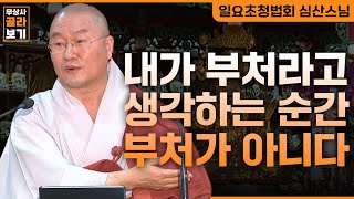 모두가 부처지만 내가 부처라고 생각하는 순간 부처가 아니다 [무상사 골라보기 심산스님]