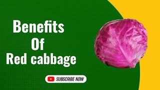 लाल पत्ता गोभी के फायदे और इस्तेमाल| benefits and uses of red cabbage @lata145