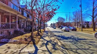 Toronto Walk - Lansdowne Avenue