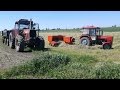 Sianokosy 2015 //Massey Ferguson//Ursus//Agro PL