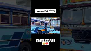 Leyland VS TATA (අයියායි මල්ලියි) 😁❤️ #dilanka_express #dulneth_express #automobile #kandy #ampara