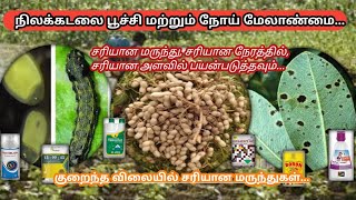 நிலக்கடலைக்கு சரியான மருந்துகள் பூச்சி மற்றும் நோய் மேலாண்மை |groundnut pest and disease management