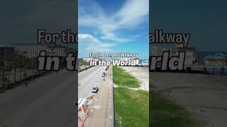Galveston Is Going for a GUINNESS WORLD RECORDS™ Title #galveston #guinnessworldrecords #worldrecord