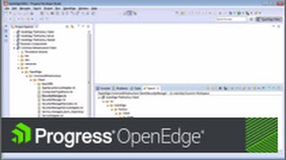 OpenEdge Tip Find References