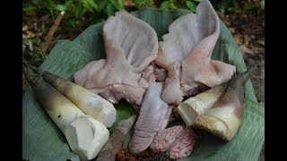 Cooking Pig Ear Stew - How to Cook Pork Stew - Pork Stew Soup