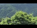 2017.6.3 今日の高尾山　キアシドクガ