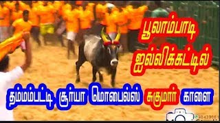 பூலாம்பாடி ஜல்லிக்கட்டில் தம்மம்பட்டி சூர்யா மொபைல்ஸ் சுகுமார் காளை  poolampadi jallikattu 2018