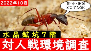 【調査】水晶鉱坑7階で編成調査をしたらクリムゾンフラッガーアリが便利屋になってた【ザアンツ】