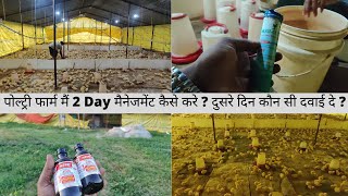 मुर्गा फार्म में DAY - 2  मैं क्या करे ? TRAINING DAY -2