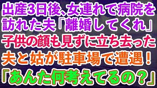 【スカッとする話】出産して3日後に女連れで病院を訪れた夫「離婚してくれ」子供の顔すら見ずに立ち去った夫と義母が駐車場で遭遇「あんた何考えてるの？」結果...【修羅場】