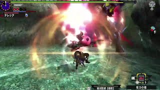 【MHXX】 獰猛な砕竜は、孤島で何を思う ブレイヴ操虫棍 05'20”73