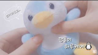 팽돌이 하루케어🐧💬#몽몽뀨