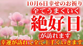 幸せを呼ぶ桃色のお花です。10月6日の朝の浄化祈願