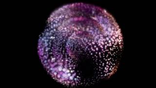 Trapcode Test pt. 1