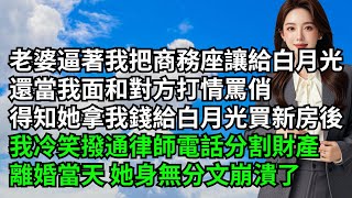 老婆逼著我把商務座讓給白月光，還當我面和對方打情罵俏，得知她拿我錢給白月光買新房後，我冷笑撥通律師電話分割財產，離婚當天 她身無分文崩潰了【三味時光】#激情故事#大彬情感#夢雅故事#小說#爽文