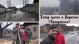 Табор цыган в Берегово (цыгане без ретуши) | Места и люди