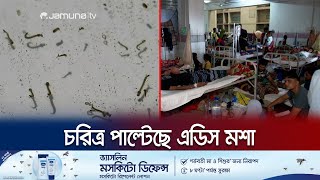 শুধু দিনেই নয়; এডিস মশা এখন কামড়ায় রাতেও! | Dengue New Mutation | Jamuna TV