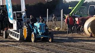 Landini 35 e MAN 30 Ackerdiesel Pulling 2016 Pomponesco