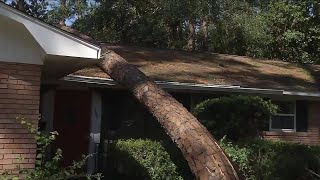 Glynn County evacuees return home