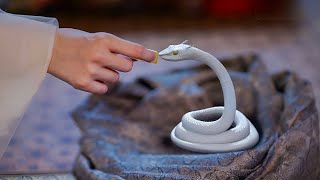 She Rescued A Little Snake But He Is Actually Dragon King And Falls In Love With Her | Chinese Drama