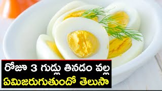 What'll Happen to You If You Start Eating 3 Eggs a Day? | MedPlus One TV