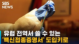 유럽 전역서 쓸 수 있는 '백신접종증명서' 도입키로 / SBS