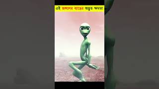 এই ব্যাঙ কিভাবে নিজেকে Transparent করে?😯 | A Frog's Unique Survival Trick | #shorts