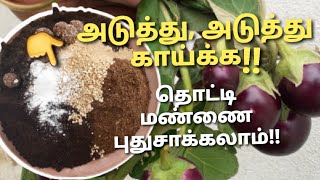 தொட்டி மண் புதுசாகும்|அடுத்து அடுத்து காய்க்கும்