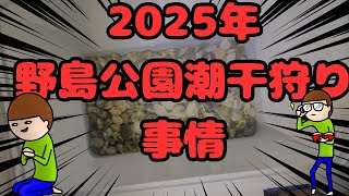 野島公園　無料潮干狩り　大漁