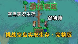 完整版：泰拉瑞亚空岛实况生存，教授带你开启不一样的冒险【A教授-泰拉瑞亚】