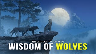 The Wolf Mentality Motivational Speech - Best Motivational Speech Video