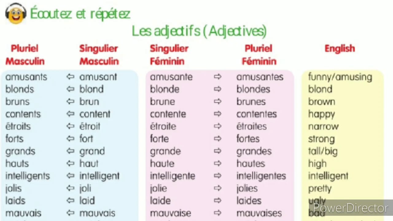 Apprenons Le Français Level2, Les Adjectifs Et Leurs Pronounciations ...