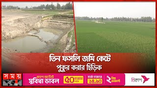 চলনবিলের সর্বনাশে সরকারি যোগসাজশ! | Sirajganj | Land | Pond | Chalan Beel | Government | Somoy TV