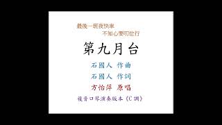 方怡萍 - 第九月台｜複音口琴Tremolo Harmonica 演奏版本《C調》