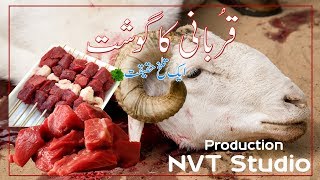 Qurbani KA Ghost | Short Story | Nvt Studio