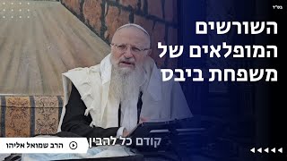 השורשים המופלאים של משפחת ביבס | הרב שמואל אליהו | הלכה יומית | כ״ב שבט תשפ״ה